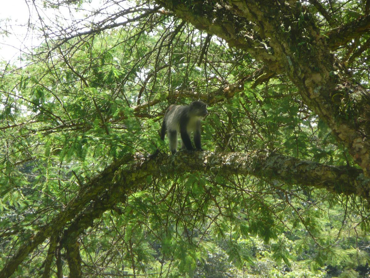 Villa Madrugada Mutare Esterno foto